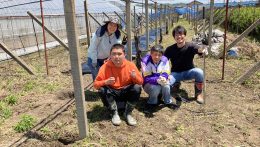 「パパイヤ畑」から生まれるもの