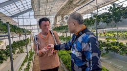 ウィートいちご狩り！