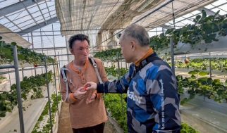 ウィートいちご狩り！